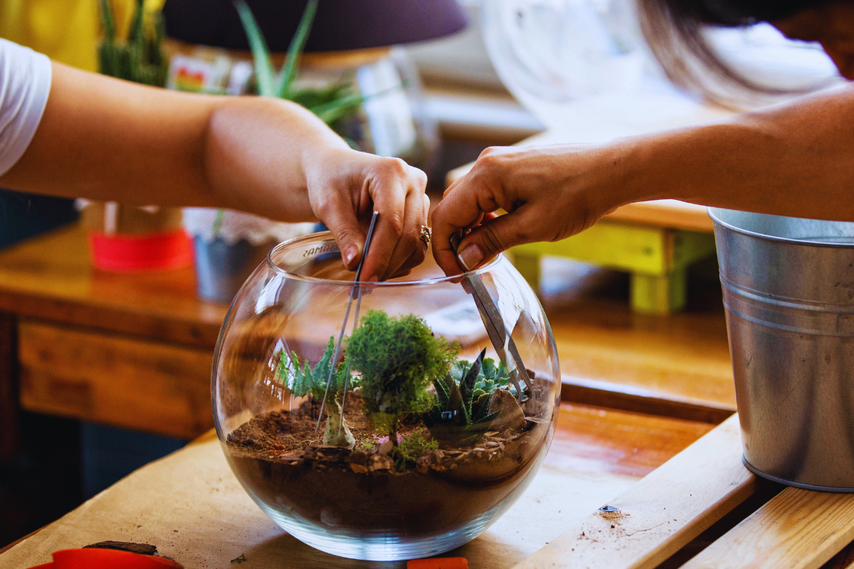 Terrário Para Mesa de Estudos