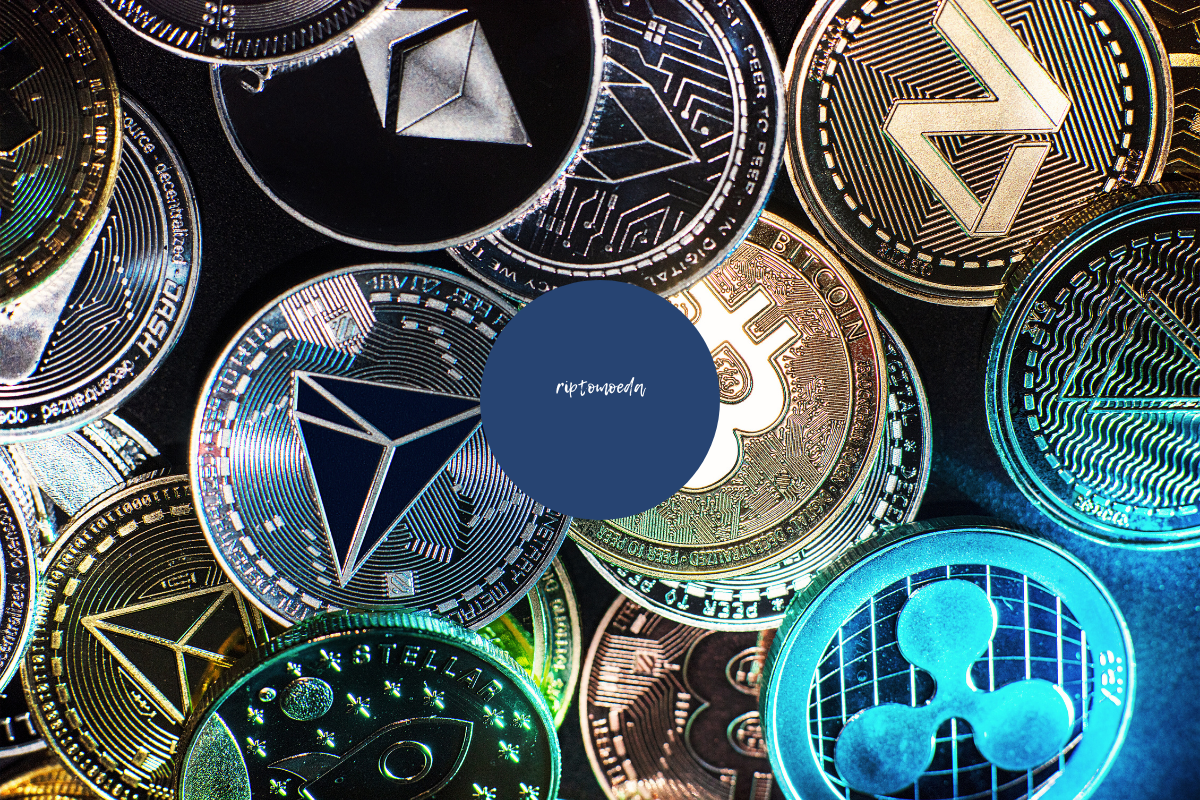 investimentos para iniciantes com criptomoedas seguras