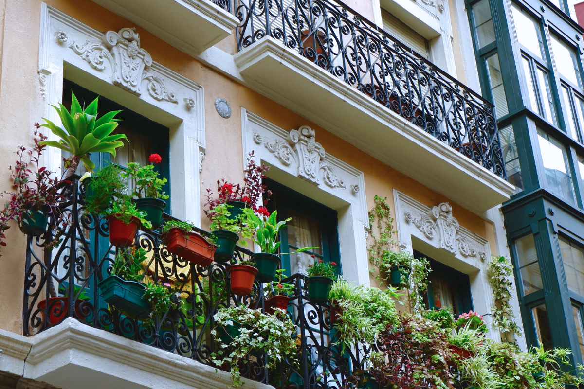 jardinagem suculentas