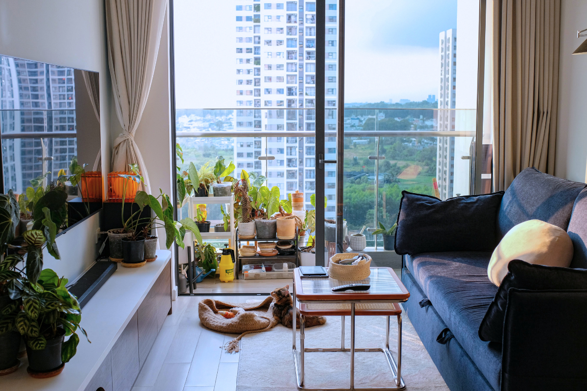 jardinagem para iniciantes com hortas em apartamento