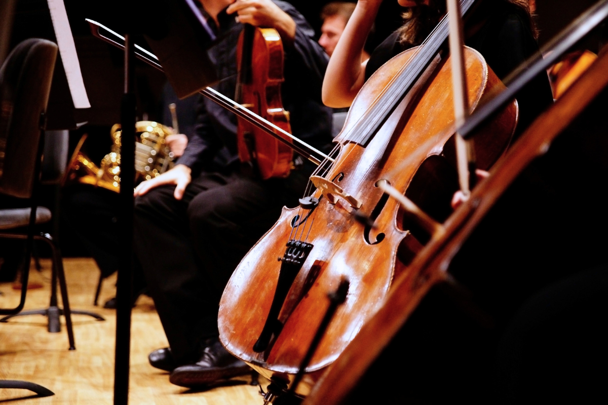 instrumentos de corda